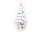 Stripe Cotton Canvas - Blue / Red